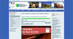 Desktop Screenshot of dpfm.fr